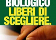 Il Garante della Privacy da via libera alla banca dati sul Testamento biologico Nella banca dati, istituita presso il ministero della Salute, saranno raccolte, con il consenso della persona che si è avvalsa del testamento biologico