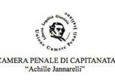 Giulio Treggiari nuovo presidente Camera Penale della Capitanata