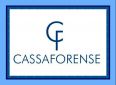 Cassa Forense, 80 delegati sono ancora sostenibili?
