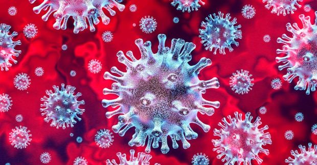 SE IL TREND CONTINUA, A LUGLIO IL VIRUS SCEMERÀ