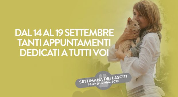 Lasciti solidali per gli animali. I notai spiegano come funzionano