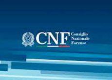 Delibera CNF: obblighi 2024 di formazione per avvocati