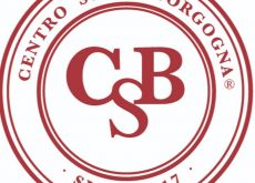 Gavetta e scarso orientamento universitario allontanano giovani dalle professioni