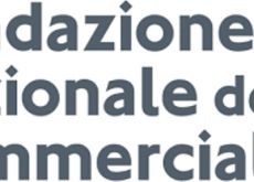 Giustizia tributaria: commercialisti, garantire indipendenza