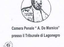 L’avvocato Carmine Viglione eletto presidente della camera penale “De Marsico”
