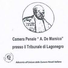 L’avvocato Carmine Viglione eletto presidente della camera penale “De Marsico”