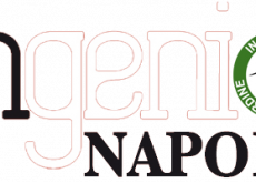 GLI INGEGNERI IN RIVOLTA