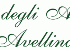 Camera degli Avvocati Tributaristi Avellino, Achille Benigni è il nuovo presidente