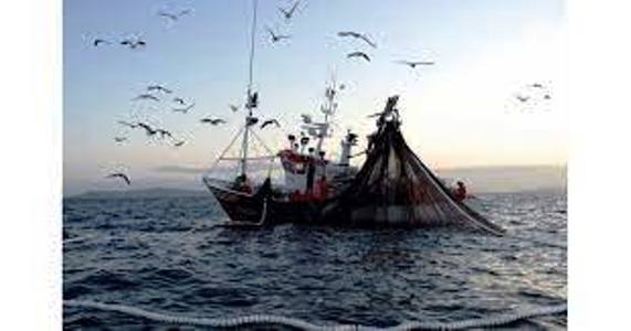 Slitta al 13 aprile 2023 il termine per le domande di fermo pesca
