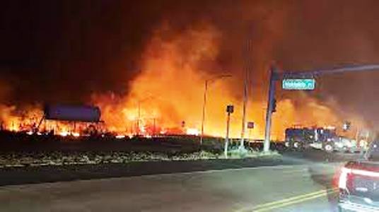 Incendi boschivi: non è sufficiente inasprire le pene.