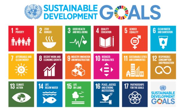 Sviluppo sostenibile: gli obiettivi Onu nell’Agenda 2030