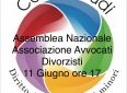 Assemblea nazionale dell’Associazione avvocati divorzisti