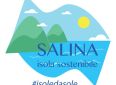 Studi, progetti e fondi disponibili al centro dei “Green Salina Energy Days”.