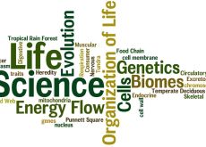 ‘Science for Life’ spinge la cultura scientifica fra i giovani