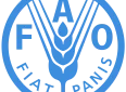 Il 24 luglio il rapporto Fao su stato sicurezza alimentare