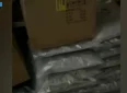 Torino, maxi sequestro stupefacenti. Oltre 110 kg di marijuana e hashish