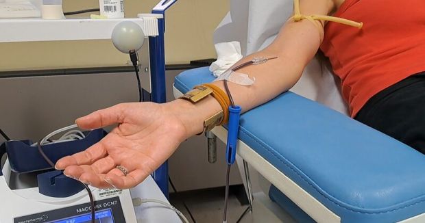 Carenza di sangue in Sardegna