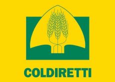 Dazi Usa, stangata da 1 miliardo su vino e olio Made in Italy