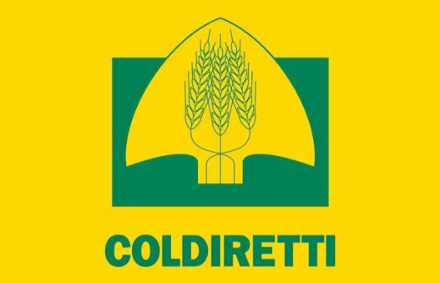 Dazi Usa, stangata da 1 miliardo su vino e olio Made in Italy