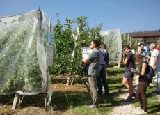 Bonus agricoltori, al via da oggi alle domande