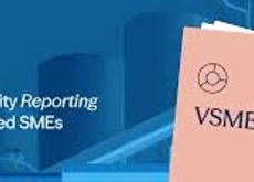 SOSTENIBILITÀ, DAI COMMERCIALISTI UN FOCUS SUL MODELLO VSME