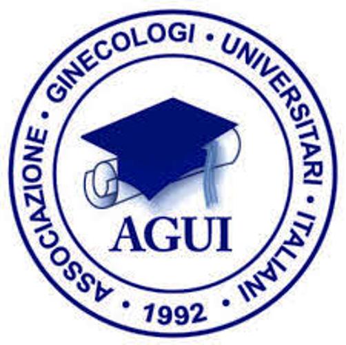 Il prof Stefano Angioni è il nuovo presidente dei Ginecologi universitari italiani