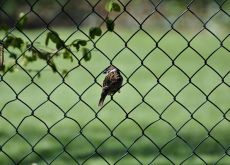 La posa professionale delle recinzioni metalliche: competenze, metodo e responsabilità