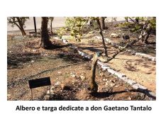 Nel Parco dei “Giusti tra le Nazioni” per fare memoria di chi salvò gli ebrei