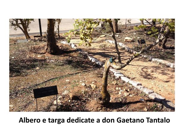 Nel Parco dei “Giusti tra le Nazioni” per fare memoria di chi salvò gli ebrei