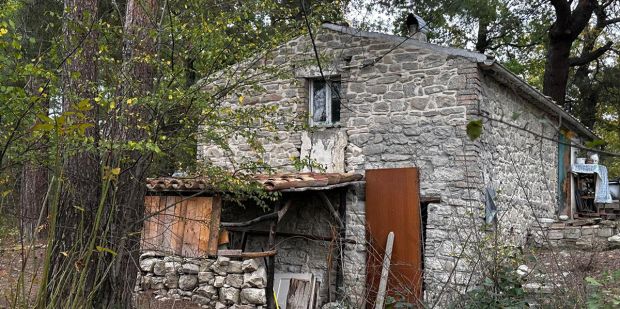 Bosco di Palmoli, i legali chiedono revoca della sospensione della responsabilità genitoriale