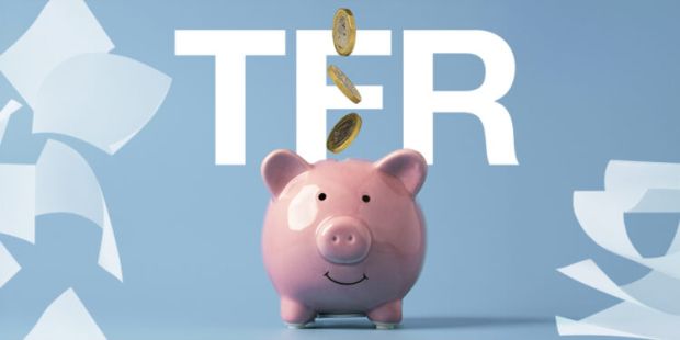 Il Tfr nei fondi pensione