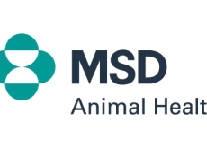 Il medico veterinario del futuro
