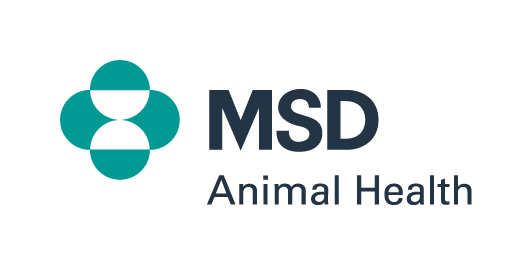 Il medico veterinario del futuro