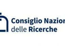 Allarme del Cnr: violenza giovanile nelle scuole italiane