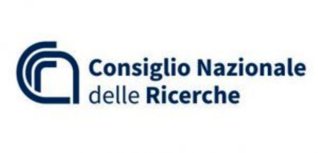 Allarme del Cnr: violenza giovanile nelle scuole italiane